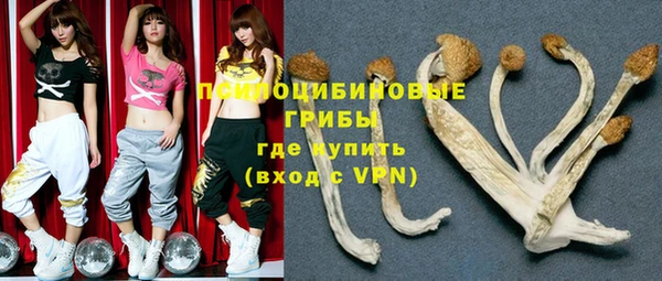 амф Алзамай
