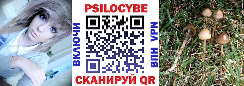 купить наркотик  Гусь-Хрустальный  Галлюциногенные грибы ЛСД 